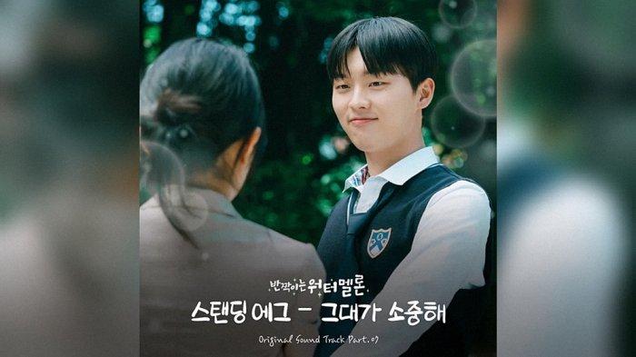 Lirik Lagu You’re Precious by Standing Egg OST Twinkling Watermelon Part 7