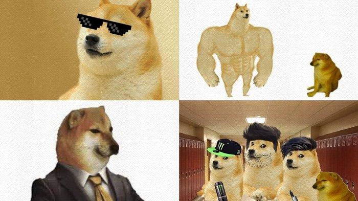 Meme Cheems atau Meme Balltze, si anjing Shiba Inu yang terkenal di internet