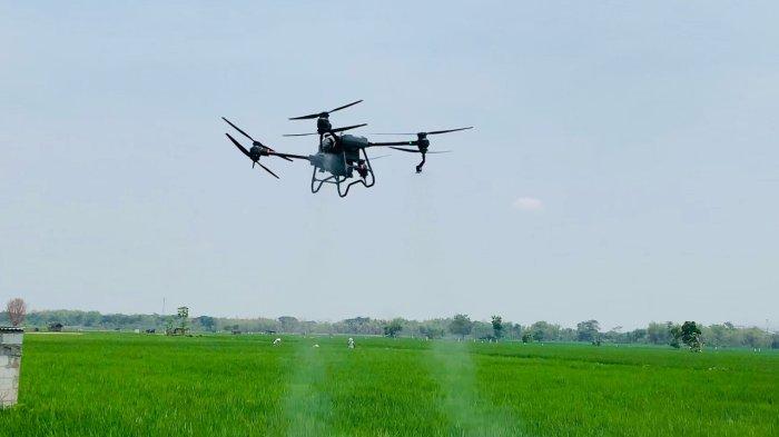 Penggunaan drone untuk pemberian pupuk untuk pada Gamagora 7 di Dusun Guyung, Kecamatan Gerih, Kabupaten Ngawi, Jawa Timur.