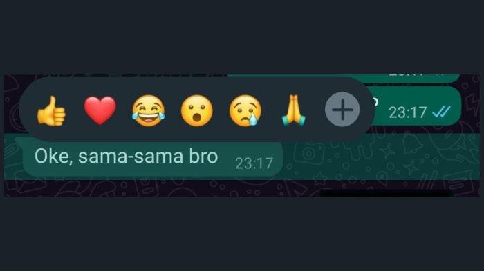 Fitur Reactions WhatsApp android ios