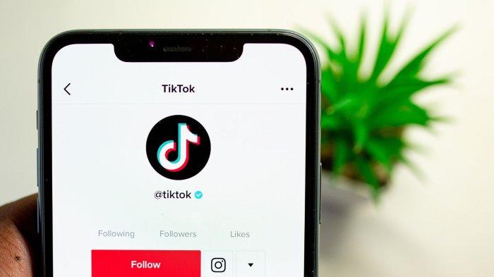 Ilustrasi TikTok