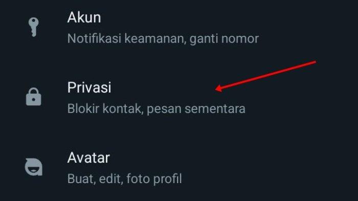 Begini Cara Sembunyikan Keterangan Online di WhatsApp Biar Nggak Ketahuan Lagi Online