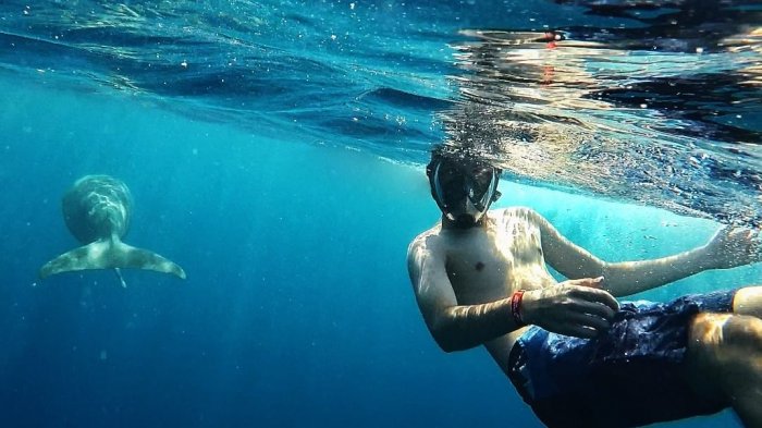 7 Arti Mimpi Berenang di Lautan Menurut Islam, Apakah Anda Siap Menyelami Kehidupan Nyata?