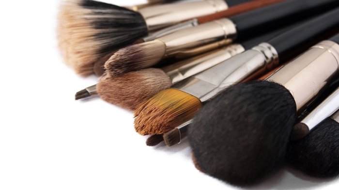 ilustrasi brush makeup