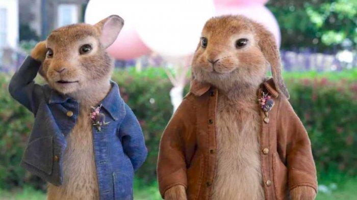 Film Peter Rabbit 2