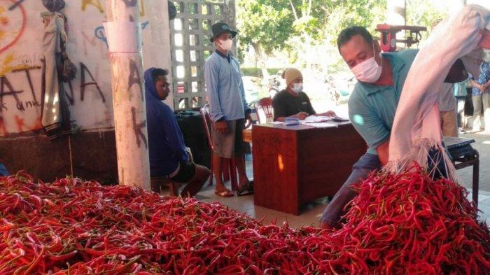 Kelompok Tani Manunggal, Kalurahan Srigading, Kapanewon Sanden, melakukan proses lelang cabai merah besar
