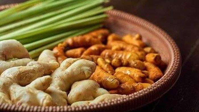 jahe kunyit sereh temulawak