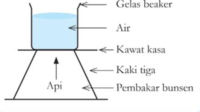 Ilmu Pengetahuan Alam untuk SMP Kelas VII