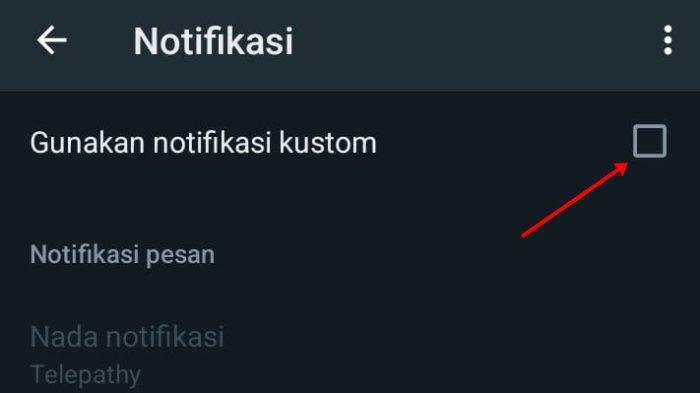 Cara Atur Nada Dering dan Notifikasi Khusus untuk Orang Spesial di WhatsApp