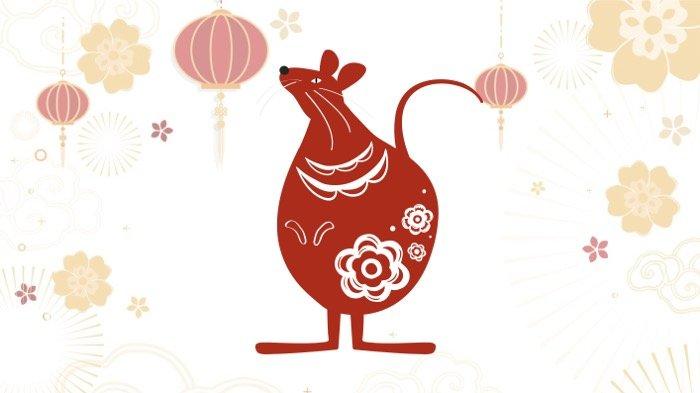 SHIO TIKUS