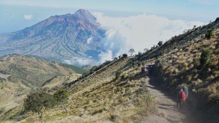 Pendaki melewati jalur pendakian Selo di Gunung Merbabu, Jawa Tengah.