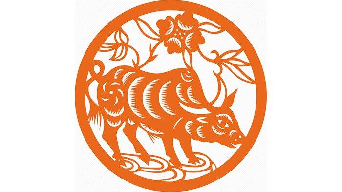 Ramalan Shio Kerbau