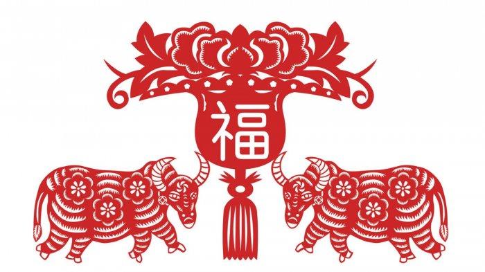 SHIO KERBAU