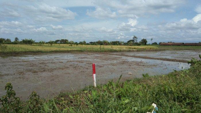 Penampakan patok tol Yogyakarta-Solo