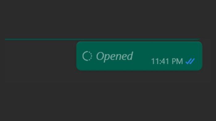 Fitur View Once WhatsApp Android