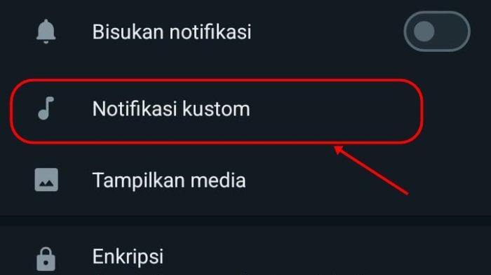 Cara Atur Nada Dering dan Notifikasi Khusus untuk Orang Spesial di WhatsApp