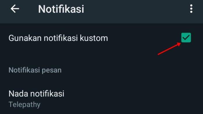 Cara Atur Nada Dering dan Notifikasi Khusus untuk Orang Spesial di WhatsApp