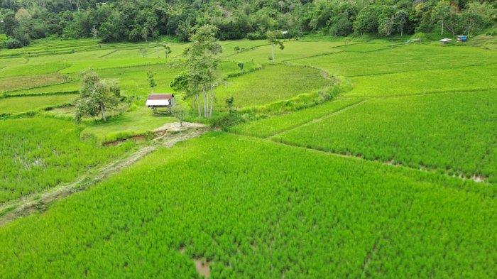 Daerah di Desa Binuang, Krayan Tengah, Nunukan, Kalimantan Utara.