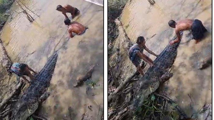 Tangkapan layar video viral yang menanyangkan warga Sesayap berhasil menangkap buaya besar di Sungai Sesayap, Kabupaten Tana Tidung.