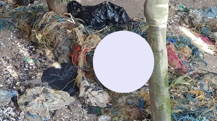 PENEMUAN MAYAT BAYI - Warga RT 07, Jalan Ujang Dewa, Kelurahan Nunukan Selatan, Kecamatan Nunukan, Kabupaten Nunukan temukan mayat bayi di area penjemuran rumput laut tepat di bibir Pantai Regos, Jumat (25/07/2025), sekira pukul 15.00 Wita.