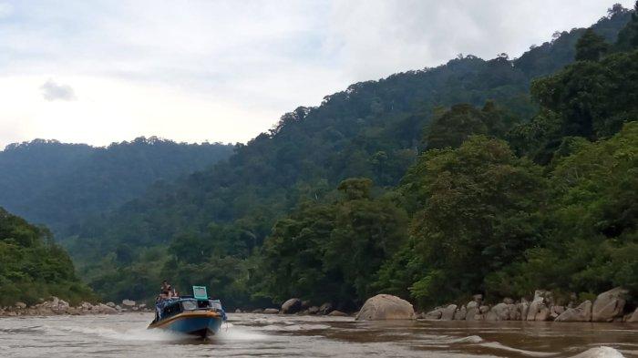 Speedboat melintas di atas Sungai Kayan di Desa Muara Pangean, Kecamatan Peso, Bulungan, yang akan menjadi lokasi bendungan 1 PLTA Kayan
