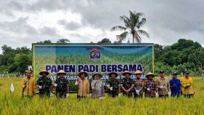 Kegiatan panen bersama Kelompok Tani Mandiri Kelurahan Mamburungan dilaksanakan pagi hingga siang tadi, Kamis (16/12/2025) dihadiri Pj Wali Kota Tarakan dan jajaran, serta perwakilan Kementerian Pertanian Kota Tarakan.