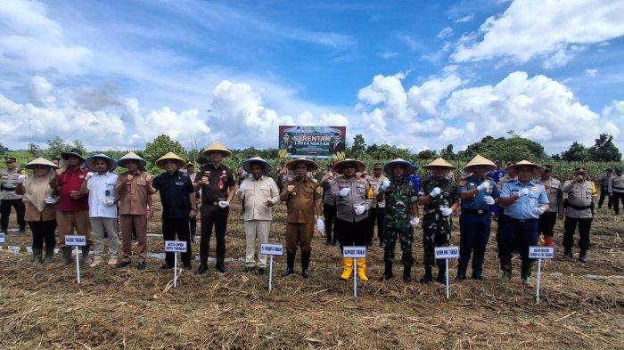 Pj Wali Kota Tarakan bersama unsur forkopimda melaksanakan penananaman bibit jagung di lahan Poktan Flora dan Fauna Juata Permai Kota Tarakan, Selasa (21/1/2025).