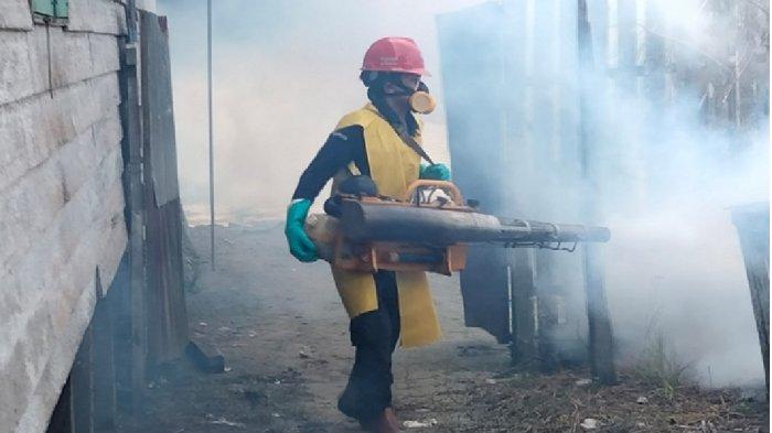 Fogging dan larvasida bukan solusi utnuk mengatasi penyebaran DBD. Disarankan para pekerja IKN bisa melakukan pemberantasan sarang nyamuk (PSN) dengan melakukan kerja bakti.