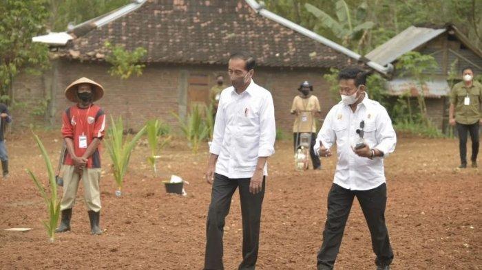 FOTO Mentan Syahrul Yasin Limpo (kanan) dampingi Jokowi dalam kunjungan kerja di Jateng. Kursi Mentan SYL jadi salah satu posisi yang santer 'digoyang' untuk dilakukan reshuffle.