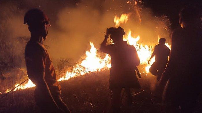 Kebakaran hutan dan lahan atau Karhutla kembali terjadi di Jalan Tanjung Cantik, Desa Binusan, Kecamatan Nunukan, pada Minggu (28/05/2023), sekira pukul 18.00-21.00 Wita. Luasan lahan yang diduga dikabar orang tak dikenal tersebut sekitar 2,9 hektare. (HO/ BPBD Nunukan)
