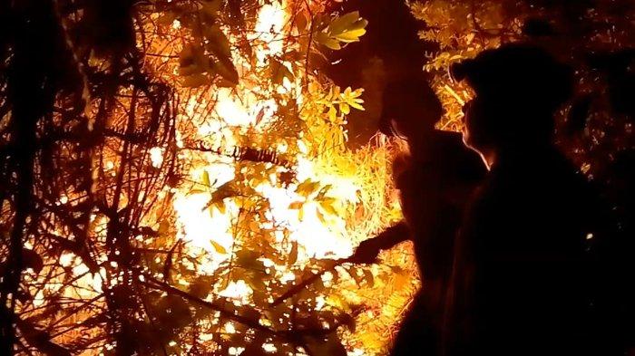 Kondisi kebakaran lahan di RT 19 Kelurahan Kampung Enam Kota Tarakan, Kamis (24/8/2023).