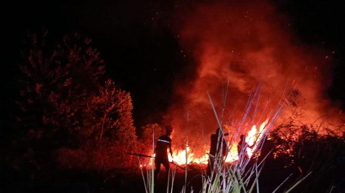 Kebakaran hutan dan lahan atau Karhutla kembali terjadi di Jalan Tanjung Cantik, Desa Binusan, Kecamatan Nunukan, pada Minggu (28/05/2023), sekira pukul 18.00-21.00 Wita. Luasan lahan yang diduga dikabar orang tak dikenal tersebut sekitar 2,9 hektare. (HO/ BPBD Nunukan)