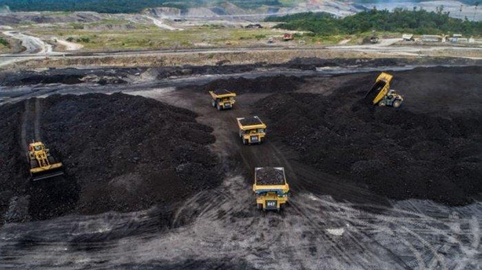 Info lowongan kerja di Bulungan, Kalimantan Utara, Sabtu (20/4/2024). Perusahaan tambang terkemuka, PT Adaro Minerals buka lowongan kerja untuk beberapa posisi kerja.