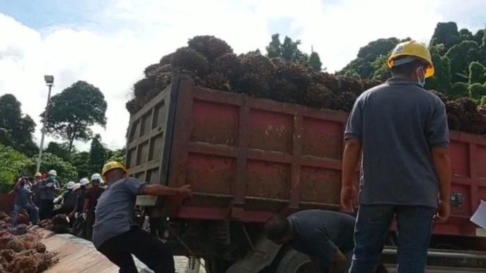 Pekerja perkebunan saat melakukan pekerjaan di sebuah perusahaan wilayah
Malinau Barat, Kabupaten Malinau, Provinsi Kalimantan Utara, beberapa
waktu lalu.