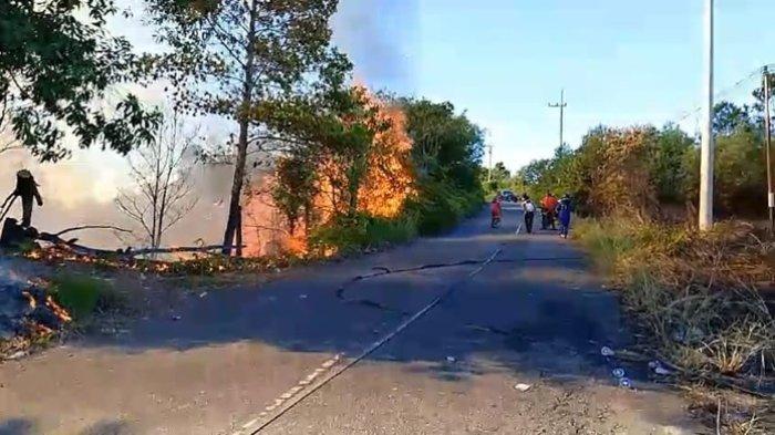 Tim Brigade Pengendalian Kebakaran Hutan dan Lahan (Brigdal Karhutla) Unit Pelaksana Teknis Daerah (UPTD) Kesatuan Pengelolaan Hutan (KPH) Kota Tarakan yang dikerahkan. Selain itu juga dibantu Korlakar wilayah timur serta pihak Kepolisian Sektor (Polsek) Tarakan Timur saat melakukan proses pemadaman kebakaran terjadi di kawasan Rimba Kota Sungai Batu Mapan (SBM), Minggu (18/2) sore.