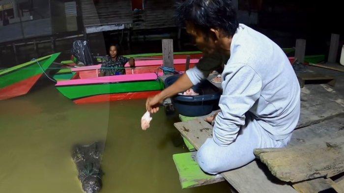 Tangkapan layar video, Pak Ambo kasih makan Buaya Riska di Guntung Bontang Utara