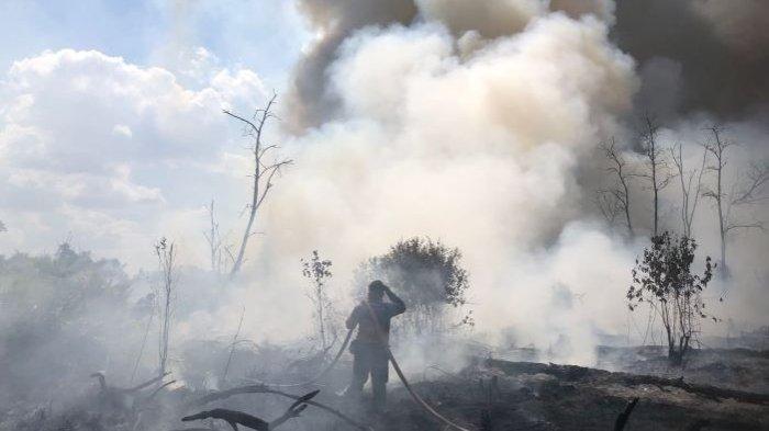 Petugas BPBD Kotim berjibaku memadamkan kebakaran hutan dan lahan (karhutla) di Jalan Lingkar Utara Kota Sampit. Memasuki puncak musim kemarau Bulan Agustus 2023 di Kalteng makin banyak terjadi kebakaran lahan, sehingga menyebabkan pencemaran udara akibat kabut asap.