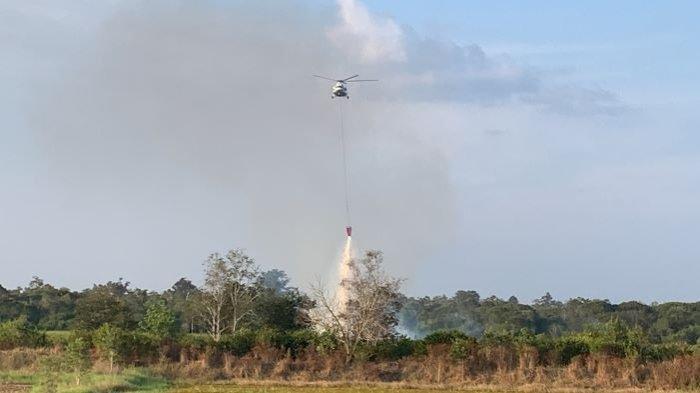 Luas lahan yang terbakar di Palangkaraya mencapai 773,35 Hektare, sedangkan kebakaran hutan dan lahan atau Karhutla di Palangkaraya tahun 2023 mencapai 578 kasus.