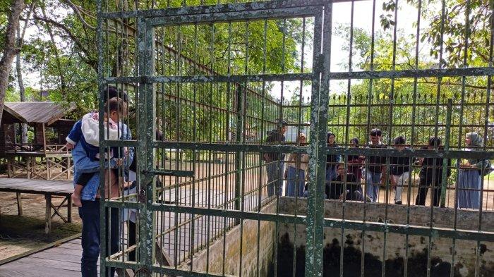 Lokasi Wisata KumKum Palangkaraya, terdapat area satwa yang menampilkan buaya, beruang, luwak, bekantan dan monyet yang bisa menjadi sarana edukasi bagi anak.