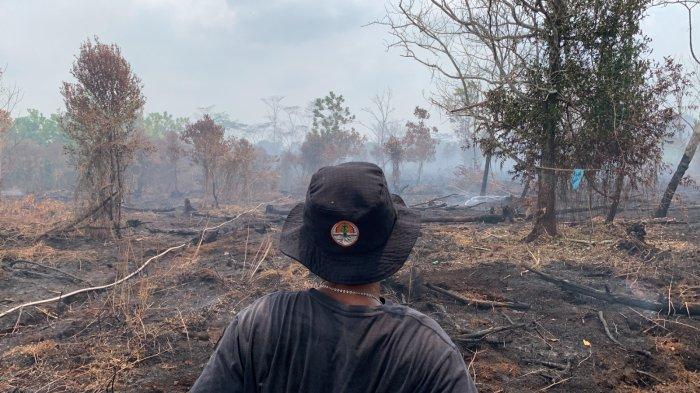 Personel Satgas Karhutla saat memantau dan memadamkan api di kawasan Karya Hapakat Palangkaraya, Selasa (22/8/2023).