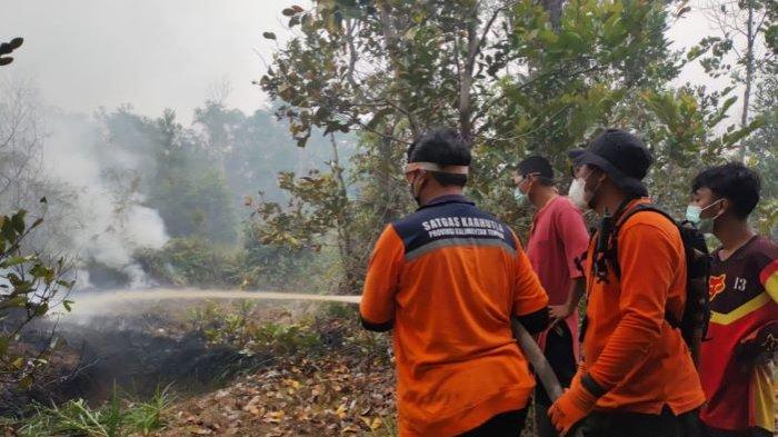 Badan Penanggulangan Bencana dan Pemadam Kebakaran atau BP-BPK Kalteng mencatat sejak 1 Januari hingga 2 Oktober 2023 sudah 9136,81 hektare lahan maupun hutan yang terbakar dalam 3230 kejadian.
