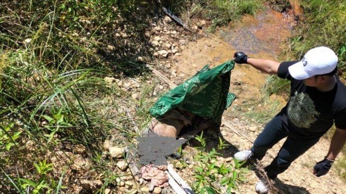 Ditemukan tak bernyawa di kebun sawit, Kecamatan Sebatik, Kabupaten Nunukan, Kalimantan Utara pada Minggu (06/08/2023), sekira pukul 13.40 Wita. Pria berusia 70 tahun ini diduga jadi korban penganiyaan.