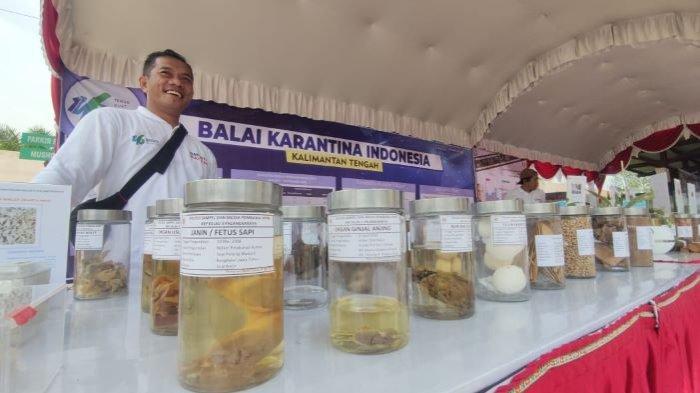 Pameran koleksi sampel Hama Penyakit Hewan Karantina (HPHK), Hama Penyakit Ikan Karantina (HPIK) dan Organisme Pengganggu Tumbuhan Karantina (OPTK) digelar di Palangkaraya.