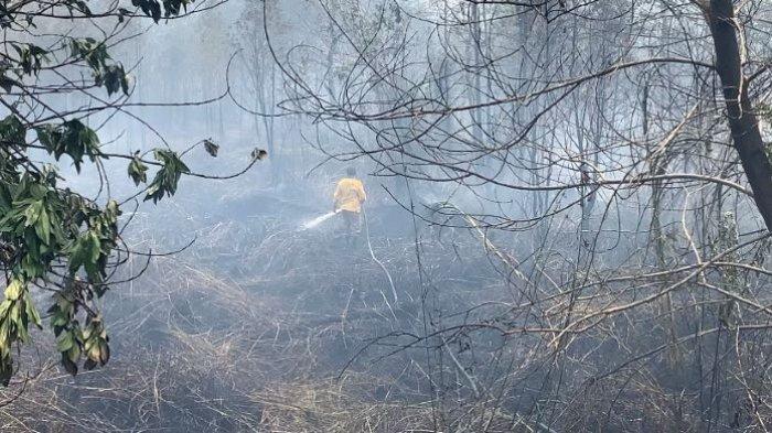 Status Indeks Pencemaran Udara atau ISPU di Palangkaraya Kalimantan Tengah Selasa 3 Oktober 2023 sangat tidak sehat dampak masih maraknya kebakaran lahan dan hutan atau Karhutla di Palangkaraya.