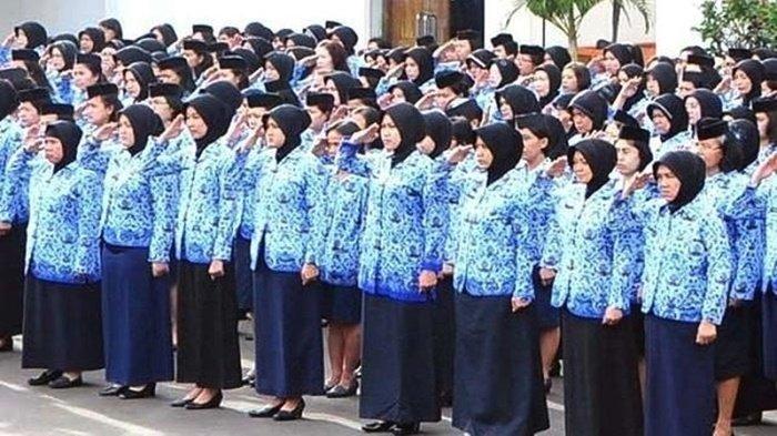 Daftar lengkap formasi CPNS 2023 untuk lulusan S1 semua jurusan, kuota 5 Persen, begini cara daftarnya.