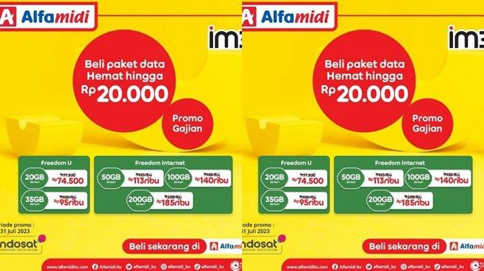 promo Alfamidi