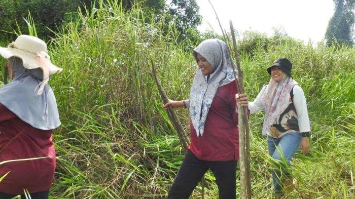 Yayasan Ulin berkolaborasi dengan Tim PKK Desa Sumber Sari menanan 4 jenis bibit target 2000 bibit di Lahan Basah Long Mesangat, Kutim, Kalimantan Timur.