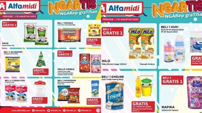 promo Alfamidi