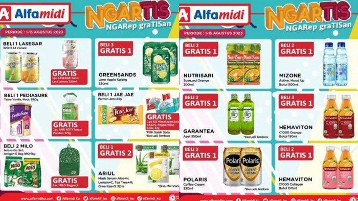 promo Alfamidi
