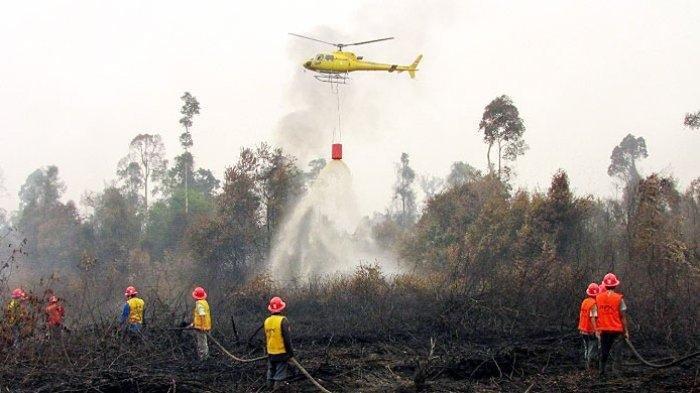 ILUSTRASI - Upaya menanggulangi kemarau dan karhutla, BPBD Kaltim mengusulkan ke pemerintah pusat untuk penyediaan teknologi modifikasi cuaca (TMC) serta helikopter pemadam.